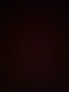 ricou84300 webcam