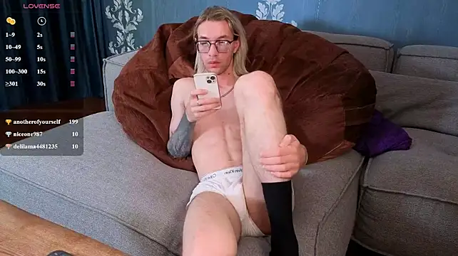 FelixMod webcam