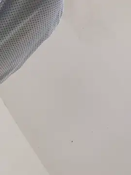 ThomasNackt webcam