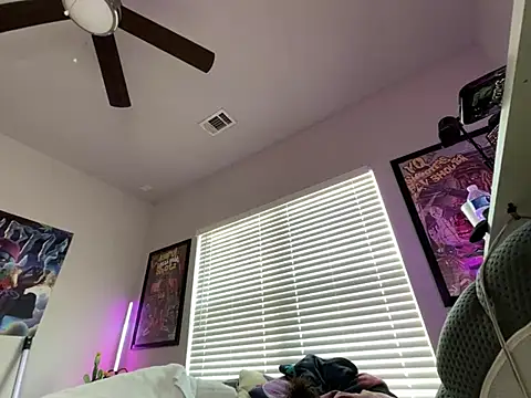 4EVAGLACIERS webcam