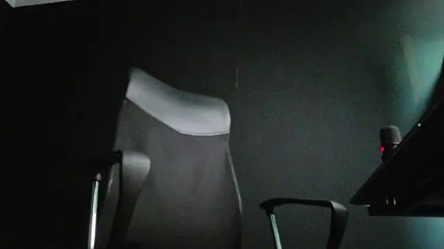 FelixStarkk webcam