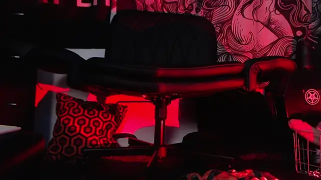 Silentmary live cam preview