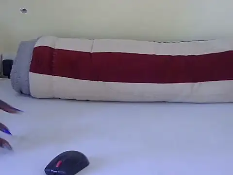 Scate webcam