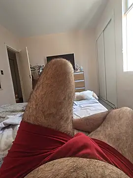 MysterBearMG webcam