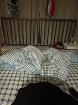 Vi_1314 webcam