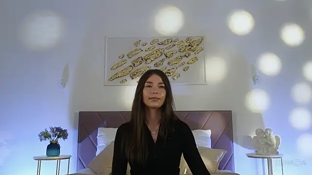 Vi_fi webcam