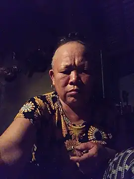 Lin2005a webcam