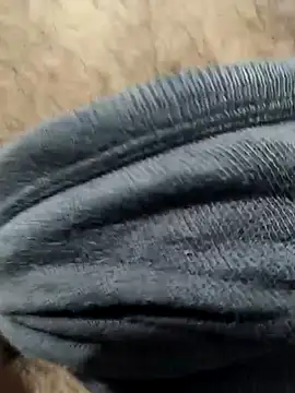 PeskyLoyalty9 live cam preview