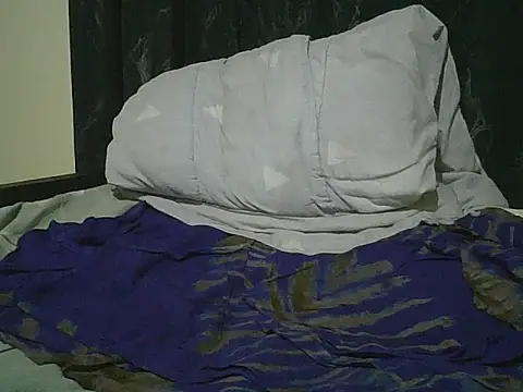 vanillapieh webcam