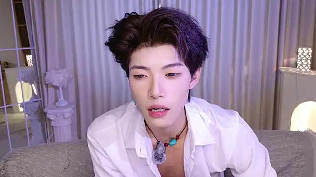 RenZeng webcam