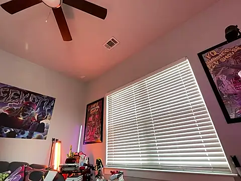4EVAGLACIERS webcam