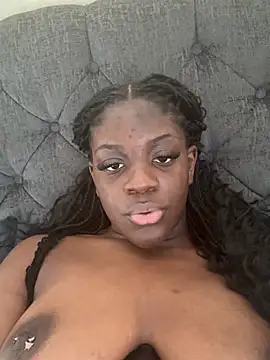 bry8661 webcam