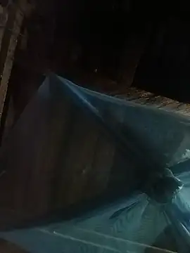 Jery-jays webcam