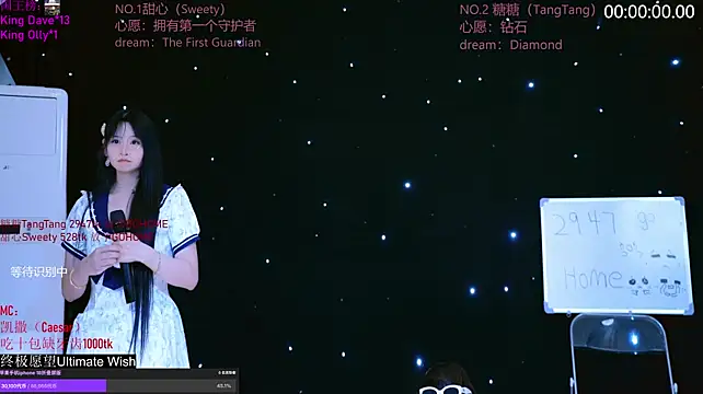 CCTW-100 webcam