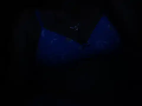 RukminiNew