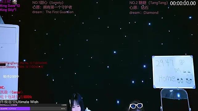 CCTW-100 webcam