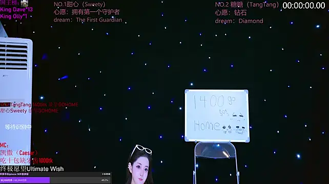 CCTW-100 webcam