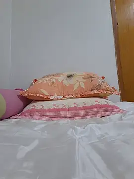 Ssk10N webcam