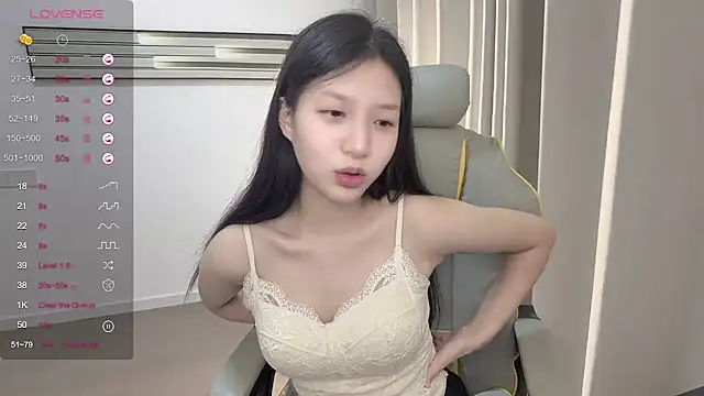 yy-1314 webcam