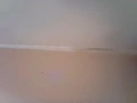 Sanyus8888 live cam on StripChat