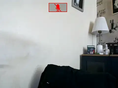 Hgay6935 webcam