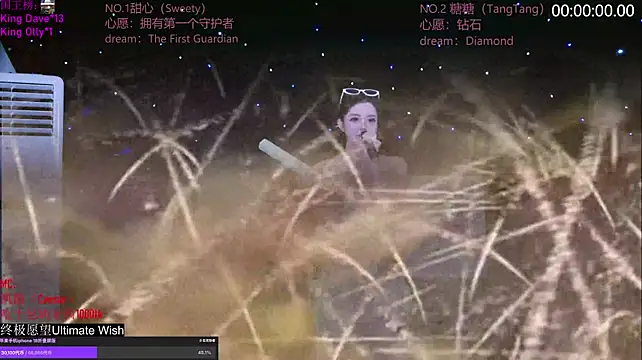 CCTW-100 webcam