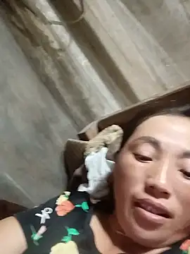 seacyre webcam