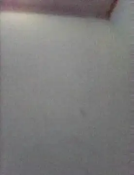 pajaroamBle webcam