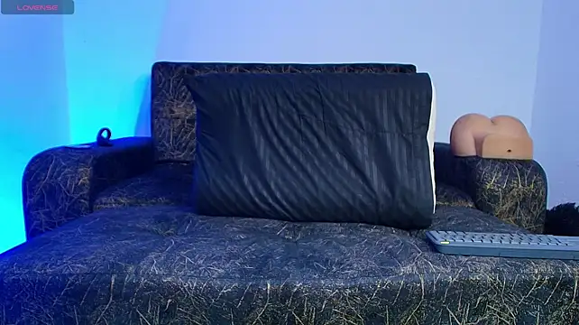 BrayaanFit webcam