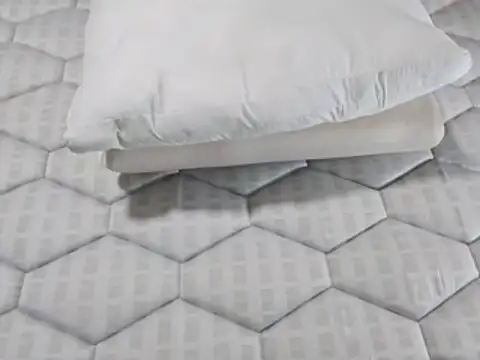Activo51 webcam