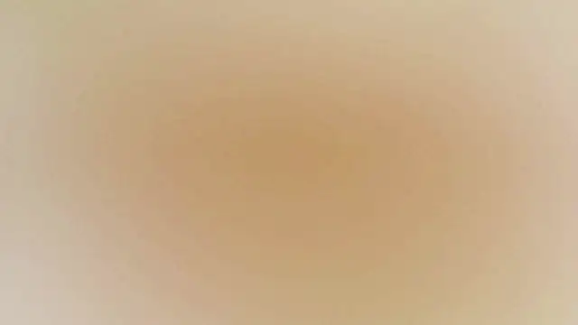 karol_stom