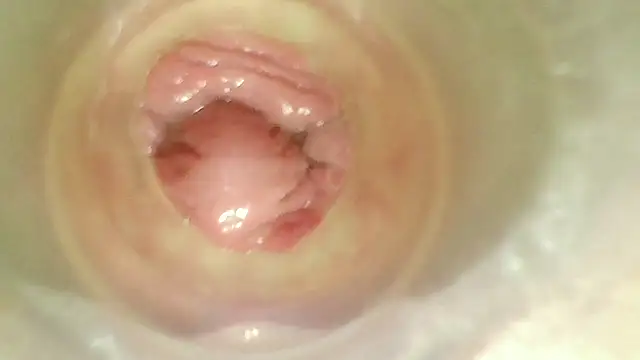 karol_stom live cam preview