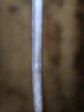lisa-bae00 stripchat