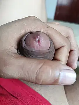 Tupapis27 webcam
