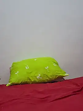 altinya webcam