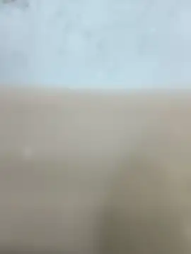 soyyoelque4 webcam