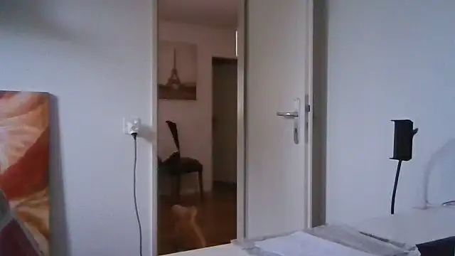 alpha-hunk webcam