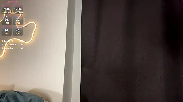 _KARANDASH_ webcam