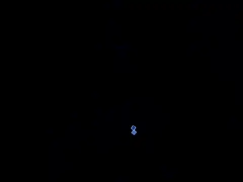 Wayler_preston webcam