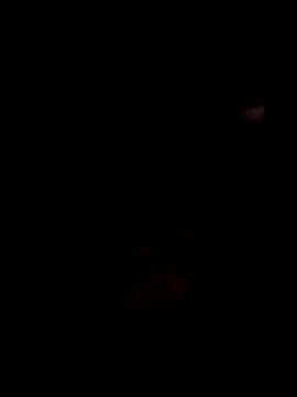Tini-Rose webcam