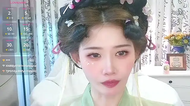LIN-AN webcam