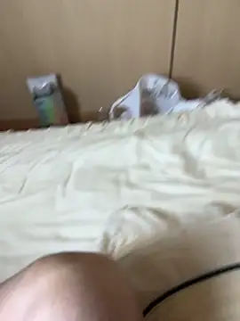 MeimoDog
