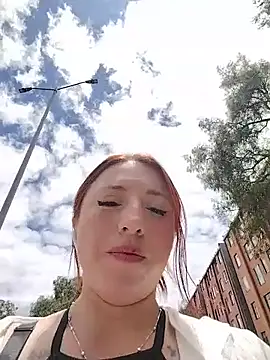Sofhi_a20 webcam