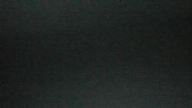 ellie_leiss webcam