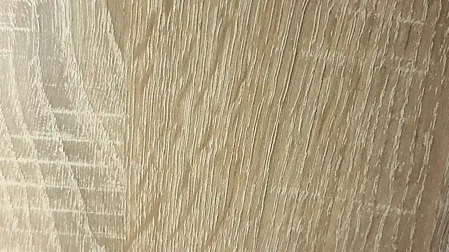 NoFace_Model webcam