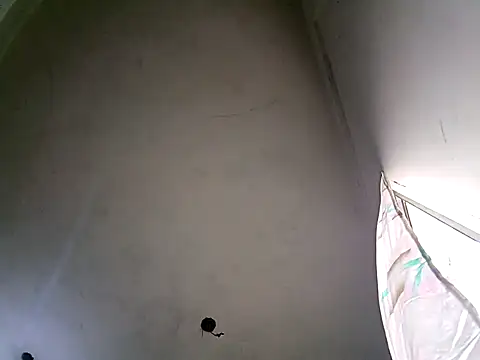 xandra252 webcam