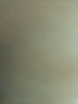 MiaBloom0 webcam