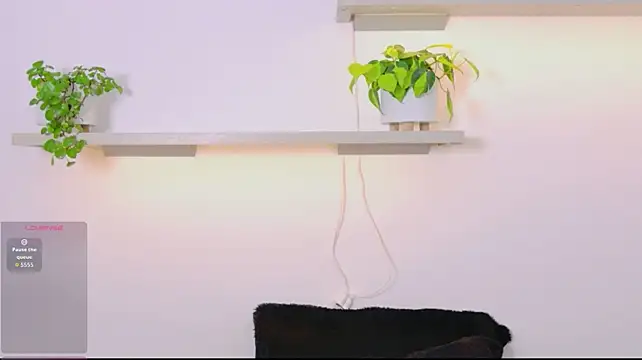 JeyboiXO live cam preview
