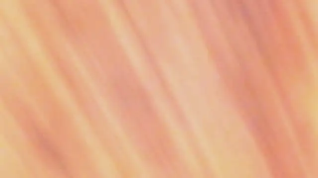 Amelia_bss