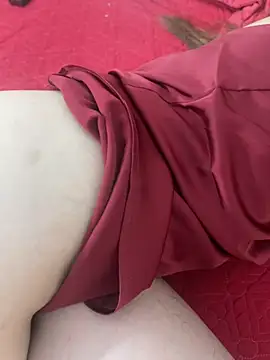 vietAnhzip